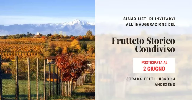 Frutteto storico condiviso