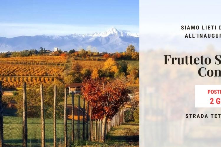 Frutteto storico condiviso